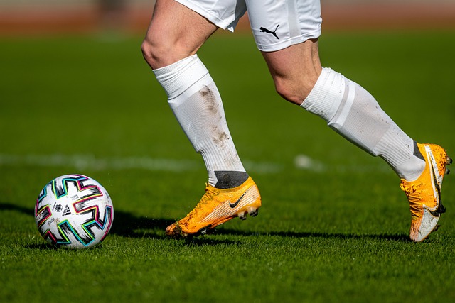 从转会窗口 从转会窗口